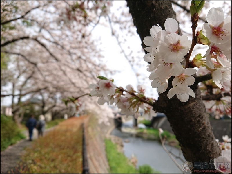 nEO_IMG_根川綠道 (23) nEO_IMG_根川綠道 (23)