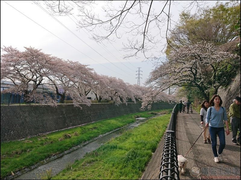 nEO_IMG_根川綠道 (25) nEO_IMG_根川綠道 (25)