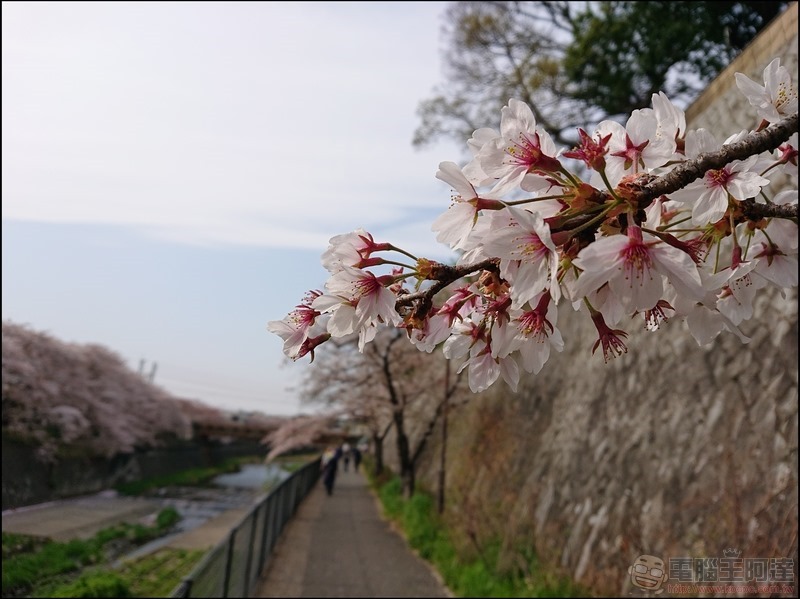 nEO_IMG_根川綠道 (26) nEO_IMG_根川綠道 (26)