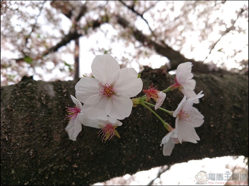 nEO_IMG_根川綠道 (30) nEO_IMG_根川綠道 (30)