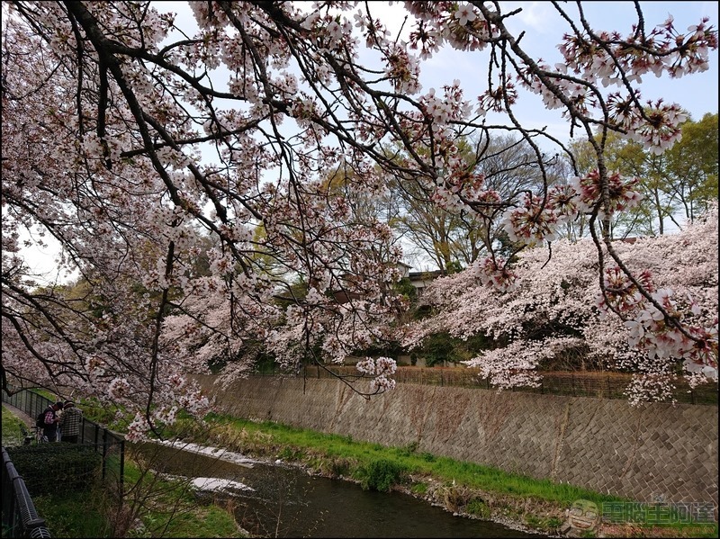 nEO_IMG_根川綠道 (32) nEO_IMG_根川綠道 (32)