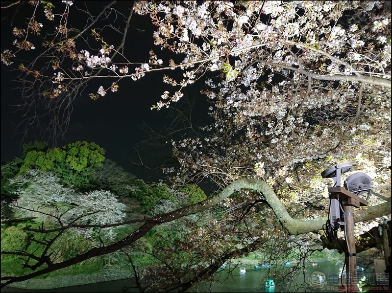 nEO_IMG_千鳥之淵 (5) nEO_IMG_千鳥之淵 (5)