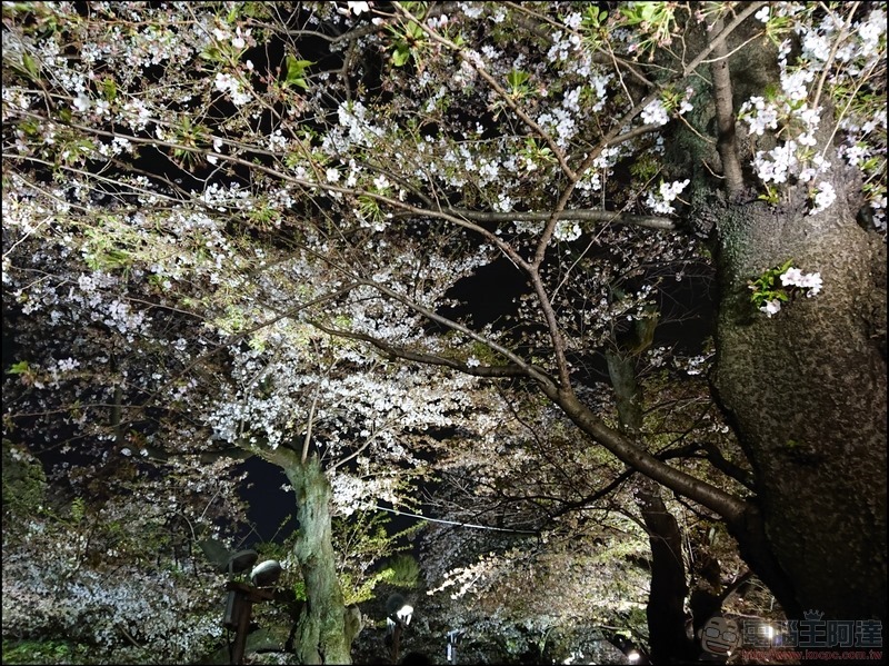 nEO_IMG_千鳥之淵 (6) nEO_IMG_千鳥之淵 (6)