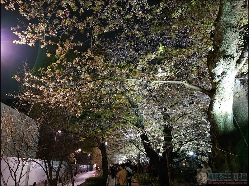 nEO_IMG_千鳥之淵 (9) nEO_IMG_千鳥之淵 (9)