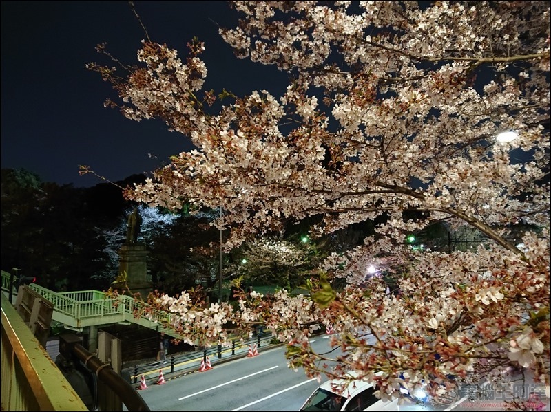nEO_IMG_千鳥之淵 (13) nEO_IMG_千鳥之淵 (13)