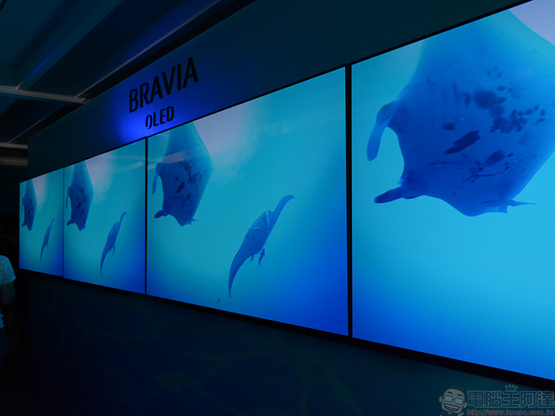 期間限定綠化建築 Sony BRAVIA House 開幕,以日系美學打造理想影音體驗 - 電腦王阿達 期間限定綠化建築 Sony BRAVIA House 開幕,以日系美學打造理想影音體驗 - 電腦王阿達