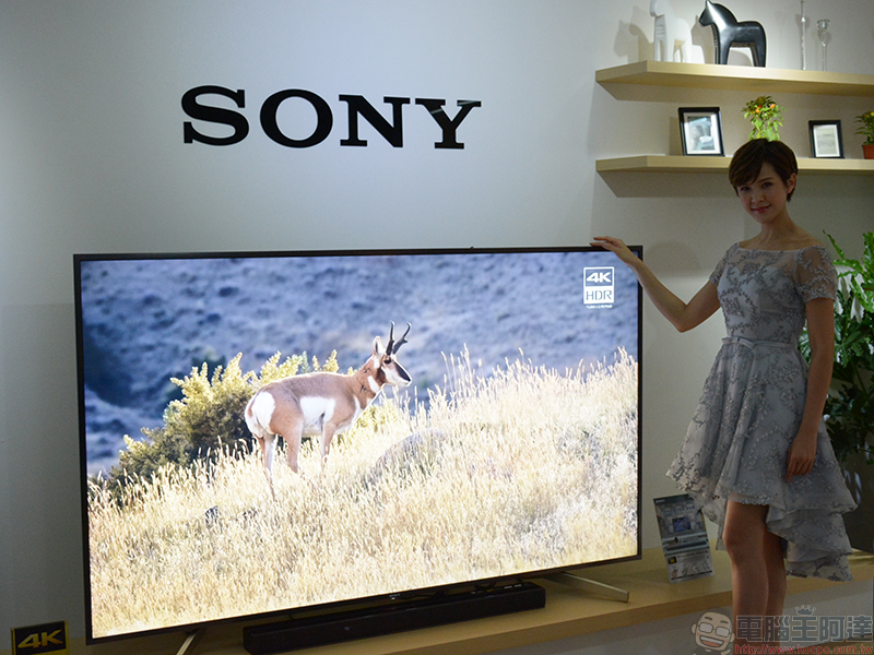 期間限定綠化建築 Sony BRAVIA House 開幕,以日系美學打造理想影音體驗 - 電腦王阿達 期間限定綠化建築 Sony BRAVIA House 開幕,以日系美學打造理想影音體驗 - 電腦王阿達
