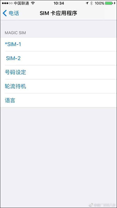 iPhone 6.1 吋 傳將支援雙卡雙待 網路流傳設定截圖 - 電腦王阿達 iPhone 6.1 吋 傳將支援雙卡雙待 網路流傳設定截圖 - 電腦王阿達