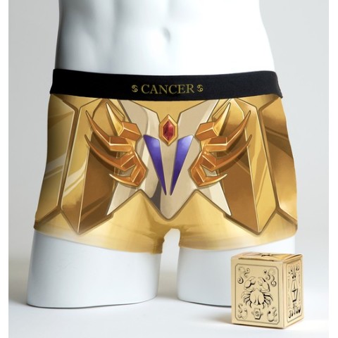 聖鬥士星矢 聖衣印象內褲 系列 為下半身換上黃金、青銅聖衣與冥衣 - 電腦王阿達 聖鬥士星矢 聖衣印象內褲 系列 為下半身換上黃金、青銅聖衣與冥衣 - 電腦王阿達