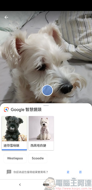Google Pixel 3 XL 相機功能 , 實拍實測一次給你看 - 電腦王阿達 Google Pixel 3 XL 相機功能 , 實拍實測一次給你看 - 電腦王阿達