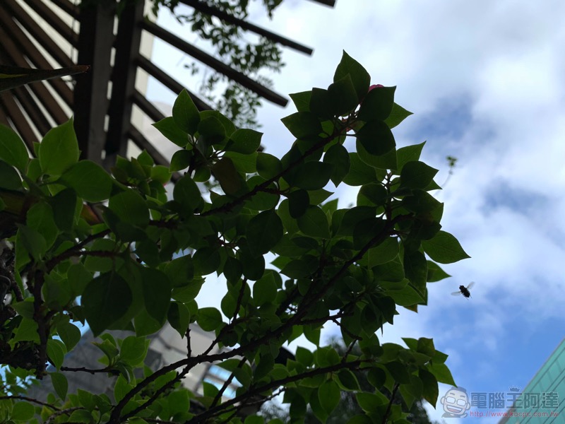 iPhone XR 開箱 實測 :給你廣角人像的獨門功夫(評價 / 評測 / 測試 / 分析) - 電腦王阿達 iPhone XR 開箱 實測 :給你廣角人像的獨門功夫(評價 / 評測 / 測試 / 分析) - 電腦王阿達