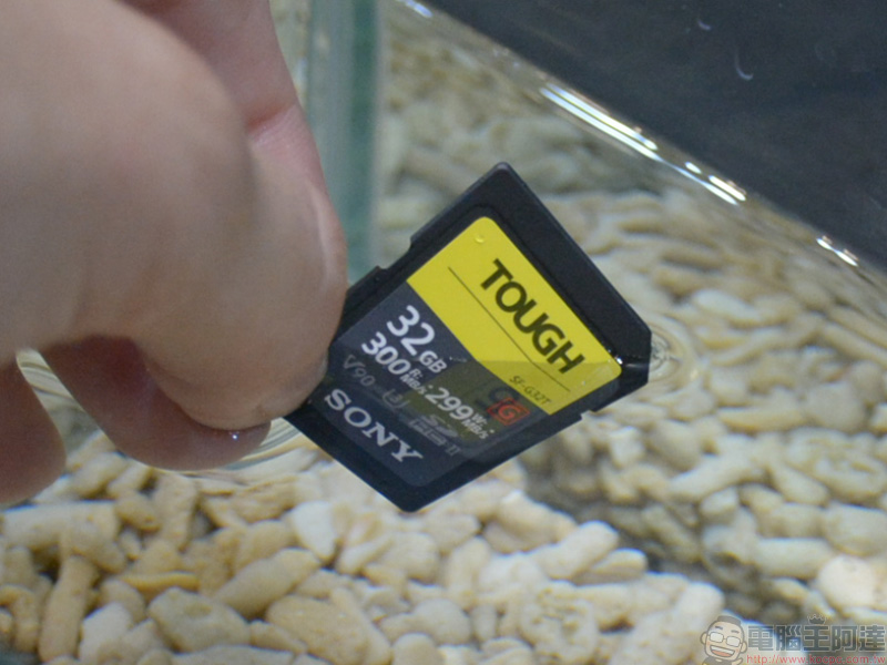 最硬最快最耐操! Sony SF-G TOUGH 系列 SDXC 記憶卡正式在台發售 - 電腦王阿達 最硬最快最耐操! Sony SF-G TOUGH 系列 SDXC 記憶卡正式在台發售 - 電腦王阿達