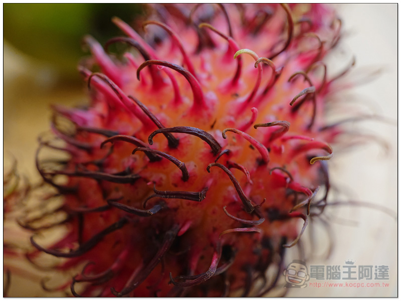 DSC_0116.jpg DSC 0116