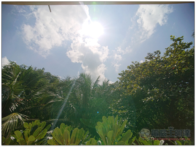 DSC_0117.jpg DSC 0117