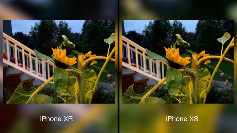 iphonexrxsflower-800x450.jpg Iphonexrxsflower 800x450