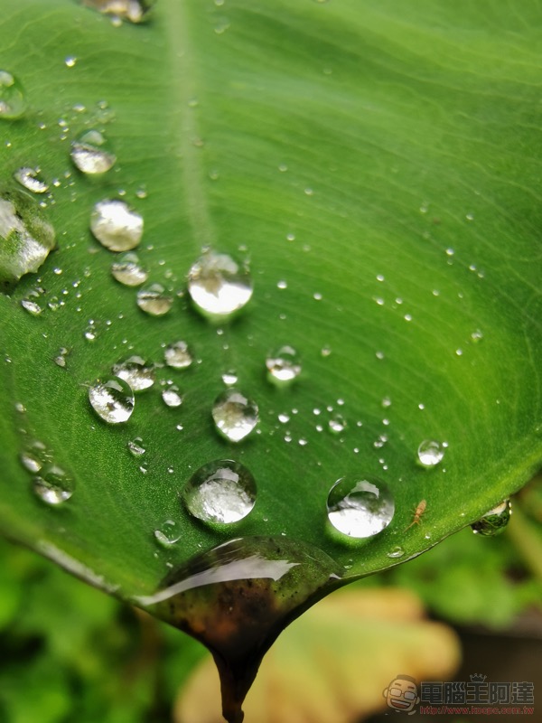 華為 Mate20 Pro 開箱 評測 、評價:「智在超越」的行動攝影之王 - 電腦王阿達 華為 Mate20 Pro 開箱 評測 、評價:「智在超越」的行動攝影之王 - 電腦王阿達
