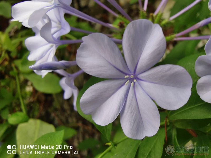 華為 Mate20 Pro 開箱 評測 、評價:「智在超越」的行動攝影之王 - 電腦王阿達 華為 Mate20 Pro 開箱 評測 、評價:「智在超越」的行動攝影之王 - 電腦王阿達