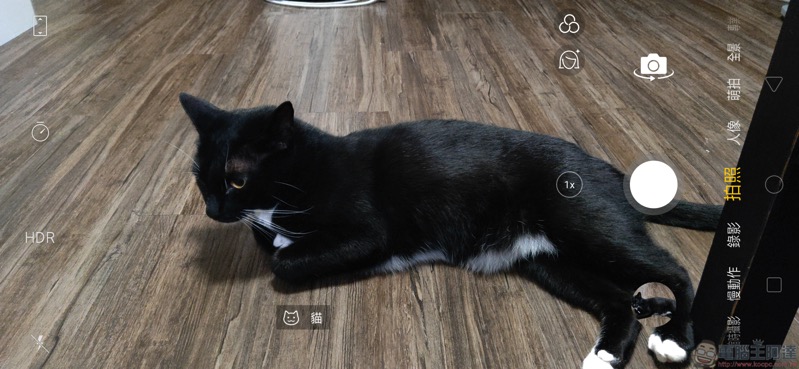 Screenshot_2018-11-12-21-49-25-81.jpg Screenshot 2018 11 12 21 49 25 81