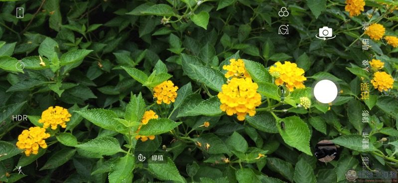 Screenshot_2018-11-13-15-45-47-78.jpg Screenshot 2018 11 13 15 45 47 78