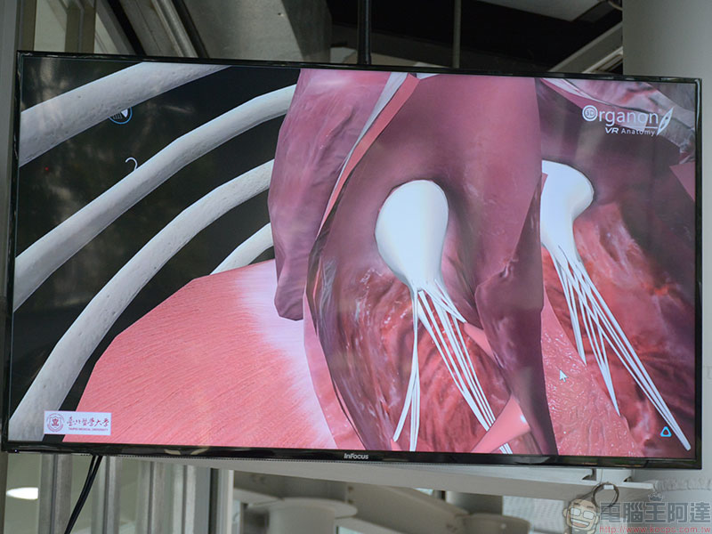 HTC DEEPQ 攜手臺北醫學大學成立全球最大 VR 解剖教室，突破解剖醫學空間瓶頸 - 電腦王阿達