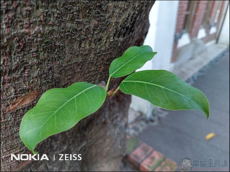 Nokia 8.1 日間攝影樣張 - 09 Nokia 8.1 日間攝影樣張 - 09