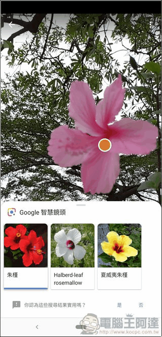 Nokia 8.1 相機UI - 13 Nokia 8.1 相機UI - 13