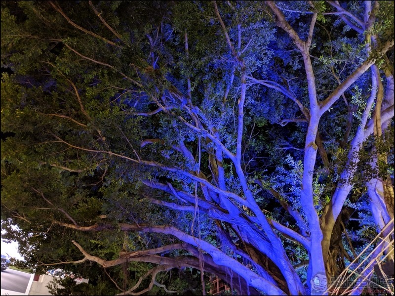 Pixel 3 XL 夜視夜拍 - 16 Pixel 3 XL 夜視夜拍 - 16