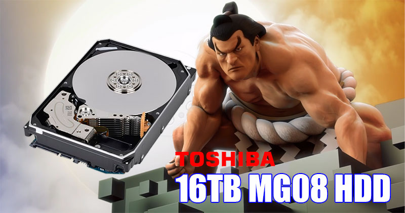 16TB MG08 16TB MG08