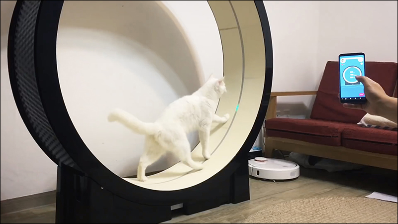 The Little Cat 貓咪跑步機 ,為家中的喵星人啟動瘦身計劃吧! - 電腦王阿達 The Little Cat 貓咪跑步機 ,為家中的喵星人啟動瘦身計劃吧! - 電腦王阿達