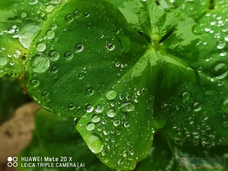華為 Mate20 X 開箱 / 評測 / 評價:超大螢幕平板手機的最高標 - 電腦王阿達 華為 Mate20 X 開箱 / 評測 / 評價:超大螢幕平板手機的最高標 - 電腦王阿達