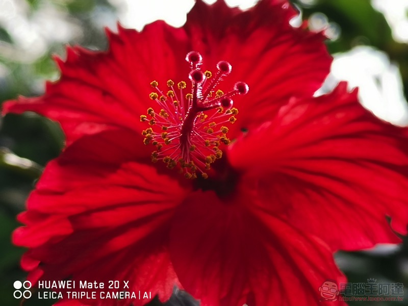 華為 Mate20 X 開箱 / 評測 / 評價:超大螢幕平板手機的最高標 - 電腦王阿達 華為 Mate20 X 開箱 / 評測 / 評價:超大螢幕平板手機的最高標 - 電腦王阿達