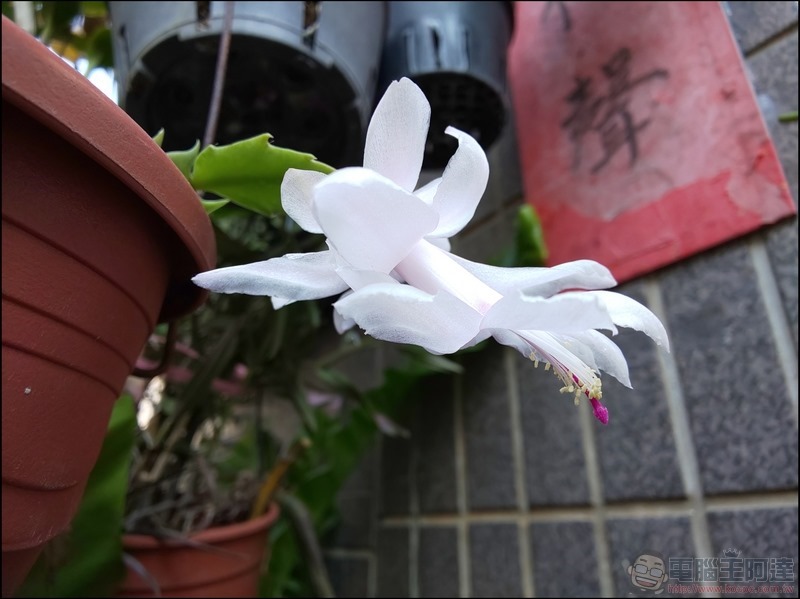 SHARP AQUOS zero 攝影樣張 - 11 SHARP AQUOS zero 攝影樣張 - 11
