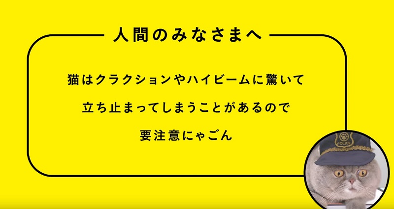 日本推出世界首支給貓看的「 猫専用交通安全宣導動畫 」 - 電腦王阿達 日本推出世界首支給貓看的「 猫専用交通安全宣導動畫 」 - 電腦王阿達