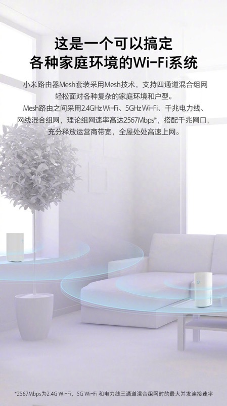 2.jpg 2