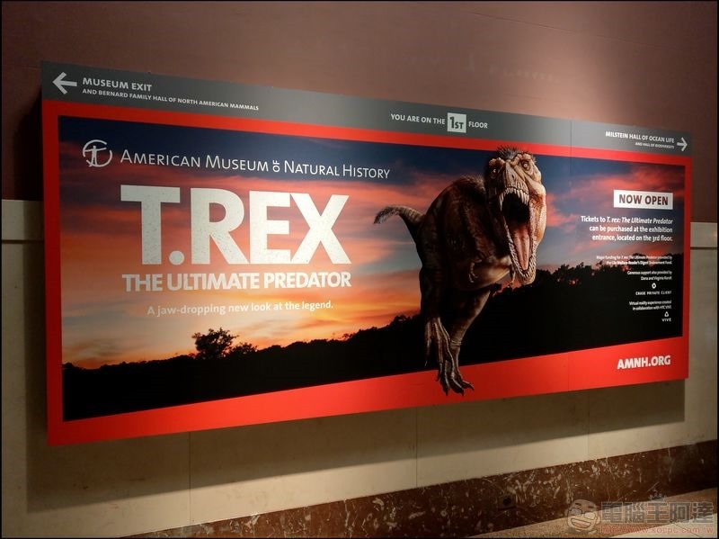 T. rex:The Ultimate Predator 特展 - 06 T. rex:The Ultimate Predator 特展 - 06