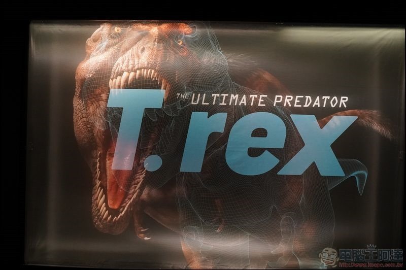 T. rex:The Ultimate Predator 特展 - 07 T. rex:The Ultimate Predator 特展 - 07