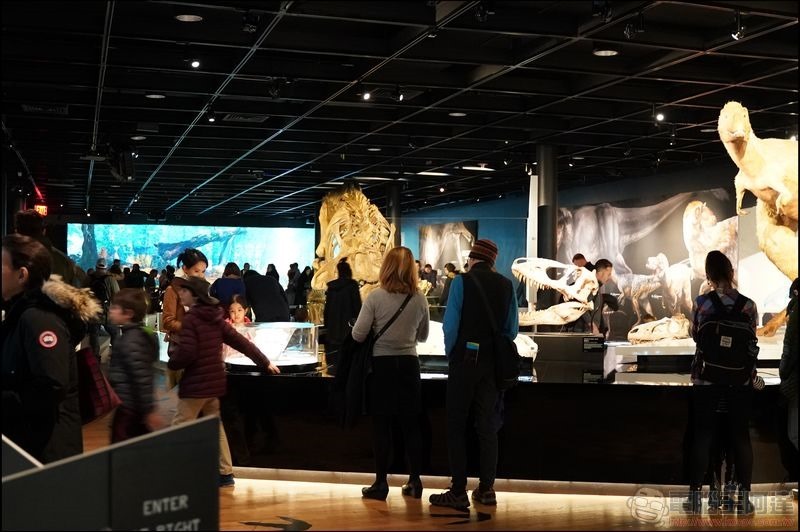 T. rex:The Ultimate Predator 特展 - 14 T. rex:The Ultimate Predator 特展 - 14