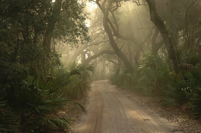 foggy-road.jpg Foggy road