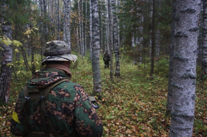 forest-3025918_960_720.jpg Forest 3025918 960 720