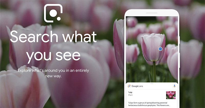 Google Lens 被發現可能將導入餐廳、購物與翻譯獨立選項 Google Lens 被發現可能將導入餐廳、購物與翻譯獨立選項