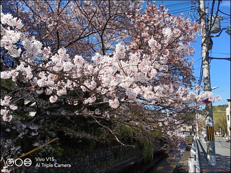 V15 拍攝樣張 - 09 V15 拍攝樣張 - 09