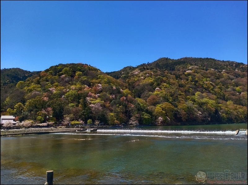 V15 拍攝樣張 - 13 V15 拍攝樣張 - 13