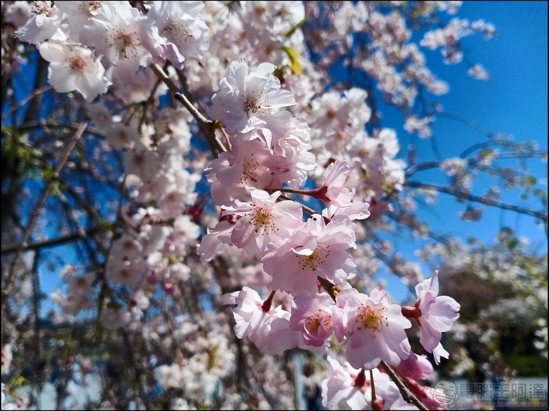 V15 拍攝樣張 - 19 V15 拍攝樣張 - 19