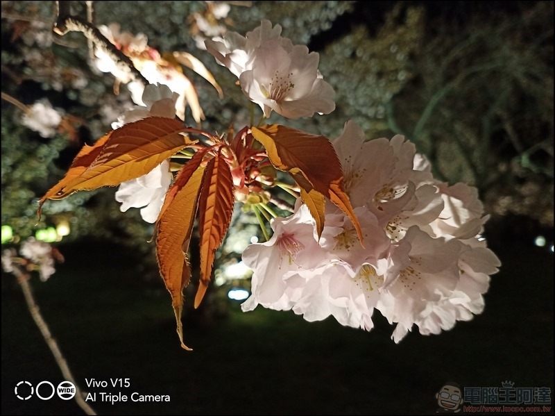 V15 拍攝樣張 - 47 V15 拍攝樣張 - 47