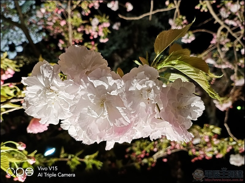 V15 拍攝樣張 - 48 V15 拍攝樣張 - 48