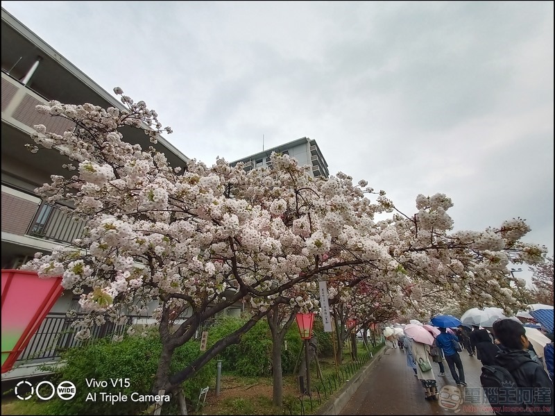 V15 拍攝樣張 - 75 V15 拍攝樣張 - 75