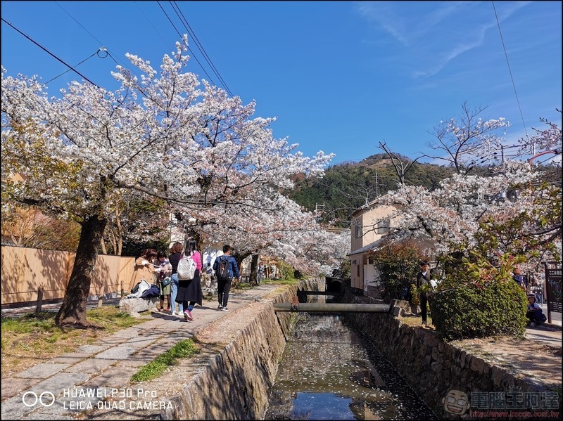 HUAWEI P30 Pro 京都大阪賞櫻隨手拍 - 05 HUAWEI P30 Pro 京都大阪賞櫻隨手拍 - 05