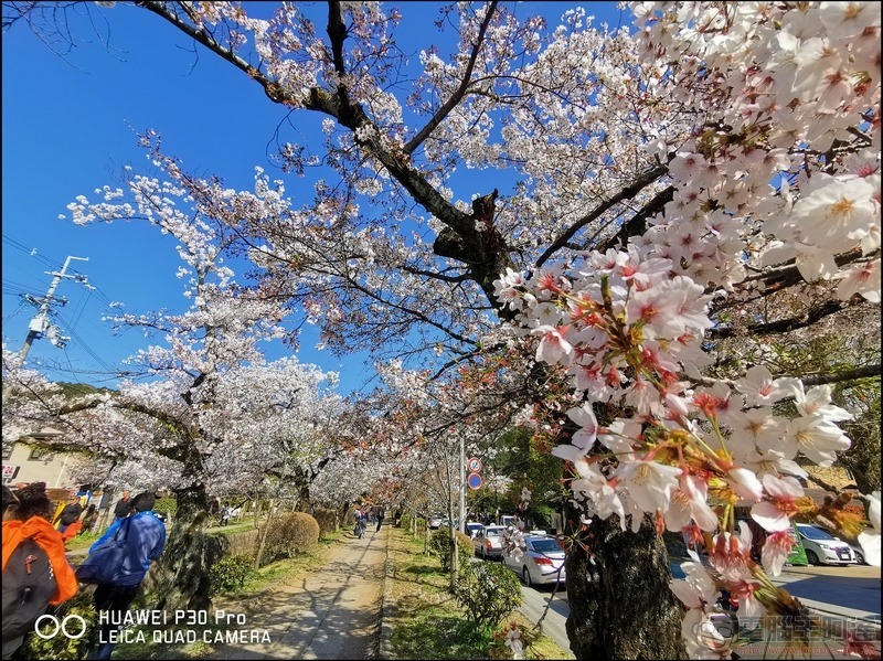 HUAWEI P30 Pro 京都大阪賞櫻隨手拍 - 10 HUAWEI P30 Pro 京都大阪賞櫻隨手拍 - 10