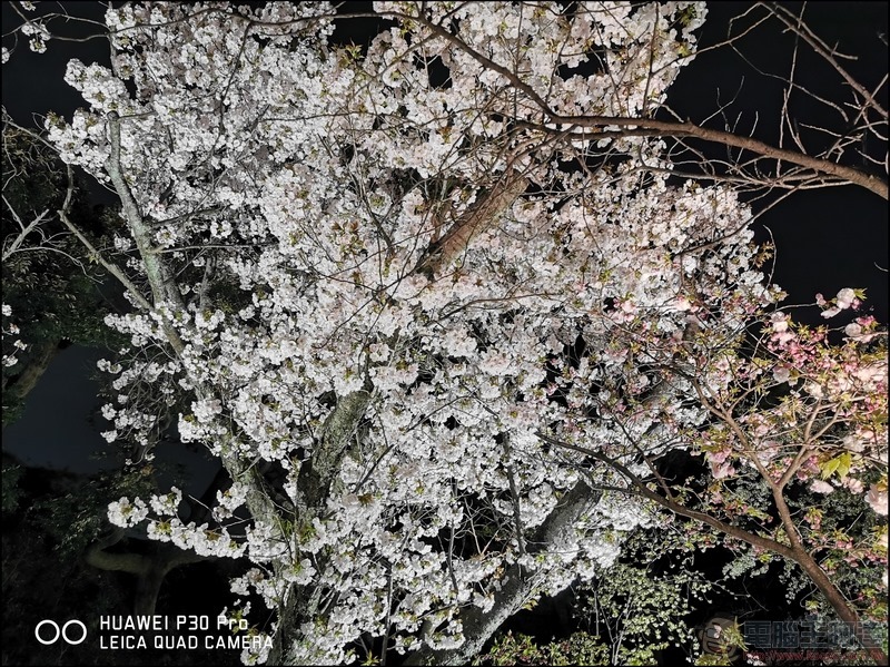 HUAWEI P30 Pro 京都大阪賞櫻隨手拍 - 27 HUAWEI P30 Pro 京都大阪賞櫻隨手拍 - 27