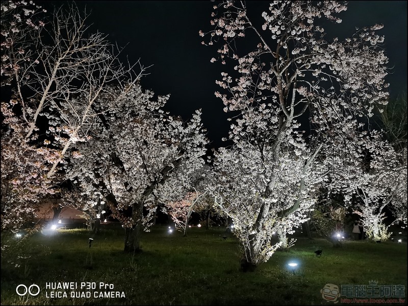 HUAWEI P30 Pro 京都大阪賞櫻隨手拍 - 34 HUAWEI P30 Pro 京都大阪賞櫻隨手拍 - 34